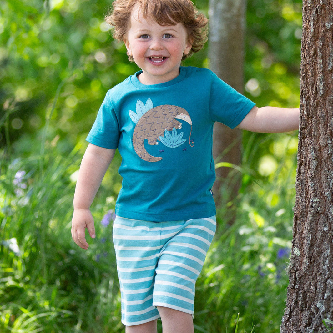 Organic Cotton Jersey Shorts - Lagoon Stripe